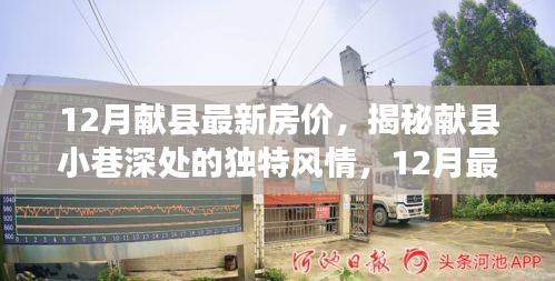 揭秘献县小巷风情与特色小店，最新房价一览表