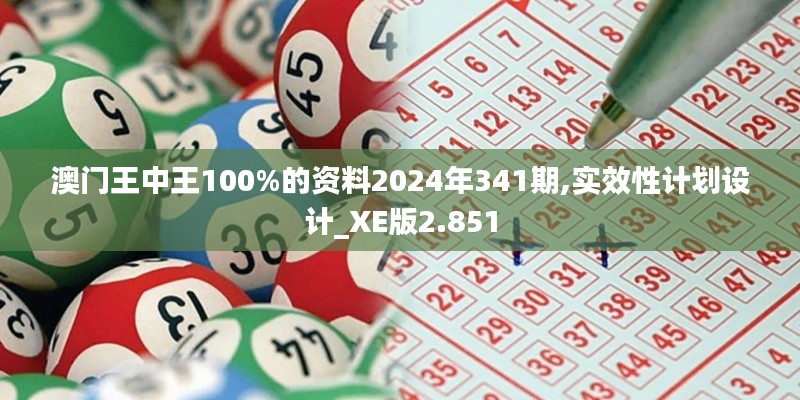 澳门王中王100%的资料2024年341期,实效性计划设计_XE版2.851