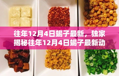 独家揭秘，历年12月4日蝎子最新动态全解析