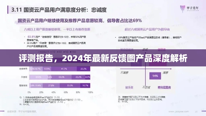 2024年最新反馈图产品深度解析与评测报告