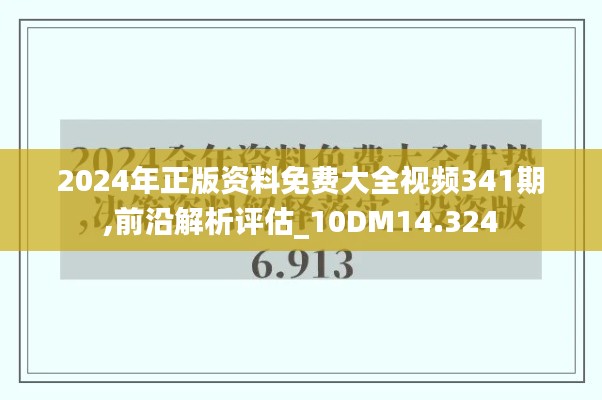 2024年正版资料免费大全视频341期,前沿解析评估_10DM14.324