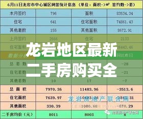 2024年12月6日 第5页