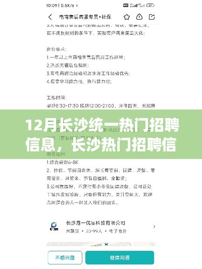 长沙热门招聘12月全攻略，求职步骤详解与招聘信息统一指南