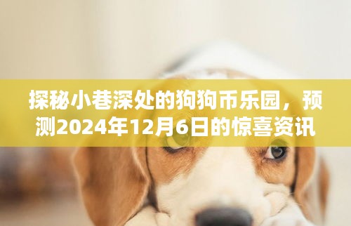 探秘狗狗币乐园，揭秘未来资讯，预测小巷深处的惊喜——2024年12月6日展望