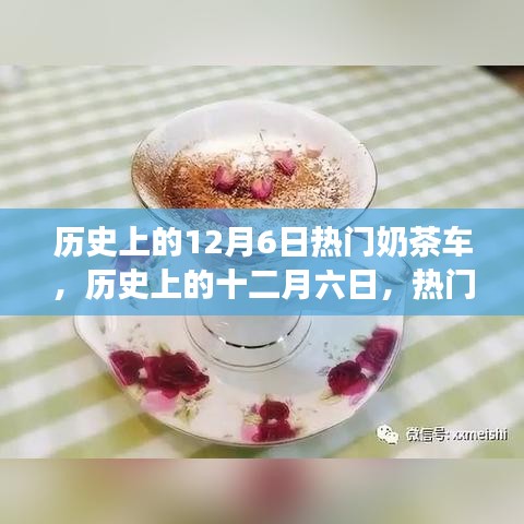 历史上的十二月六日，热门奶茶车现象深度解析与回顾