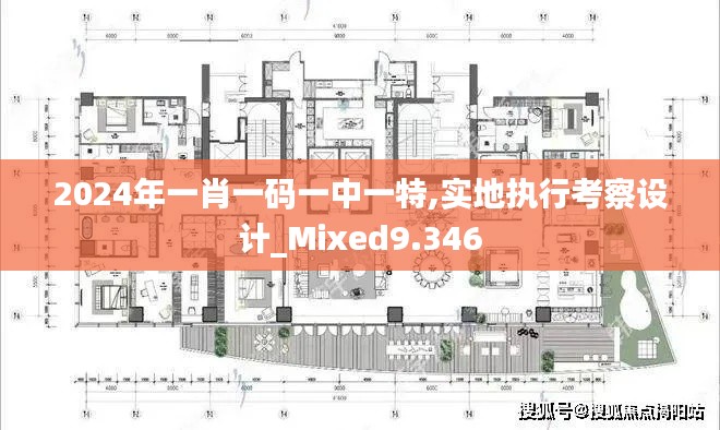 2024年一肖一码一中一特,实地执行考察设计_Mixed9.346