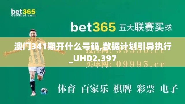 澳门341期开什么号码,数据计划引导执行_UHD2.397