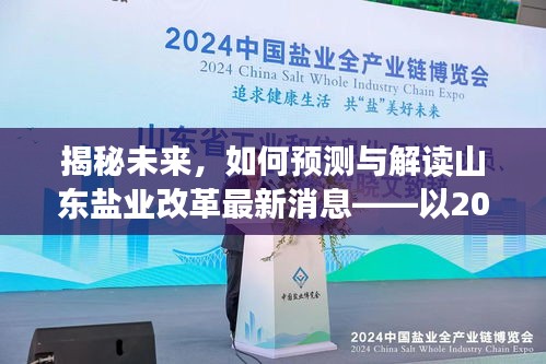 揭秘山东盐业改革最新动态，如何预测与解读未来趋势（以2024年为例）