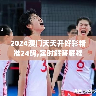 2024澳门天天开好彩精准24码,实时解答解释定义_潮流版2.738