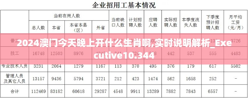 2024澳门今天晚上开什么生肖啊,实时说明解析_Executive10.344