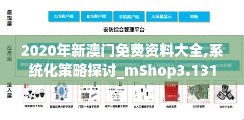 2020年新澳门免费资料大全,系统化策略探讨_mShop3.131