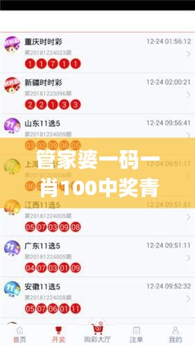 管家婆一码一肖100中奖青岛,全面数据策略解析_N版7.550