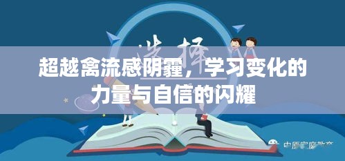 超越阴霾，学习力量与自信闪耀在禽流感后的新篇章