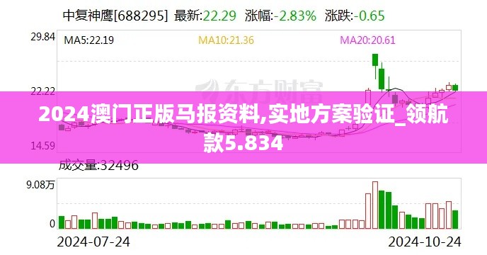 2024澳门正版马报资料,实地方案验证_领航款5.834