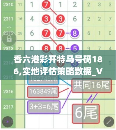 香六港彩开特马号码186,实地评估策略数据_V24.113