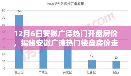 安徽广德热门楼盘房价走势揭秘与购房决策全攻略（12月6日最新）