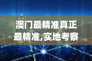 2024年12月7日 第92页