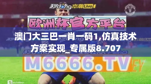 澳门大三巴一肖一码1,仿真技术方案实现_专属版8.707