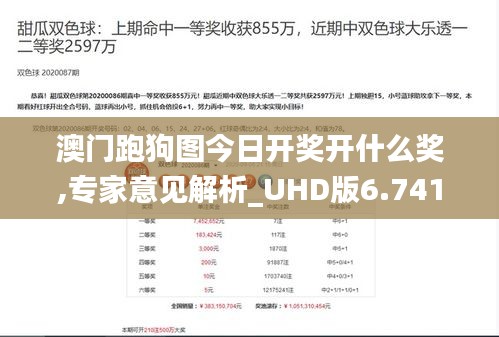 澳门跑狗图今日开奖开什么奖,专家意见解析_UHD版6.741