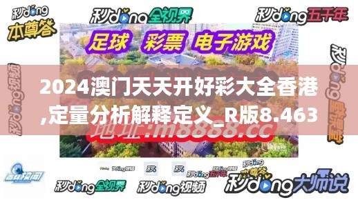 2024澳门天天开好彩大全香港,定量分析解释定义_R版8.463