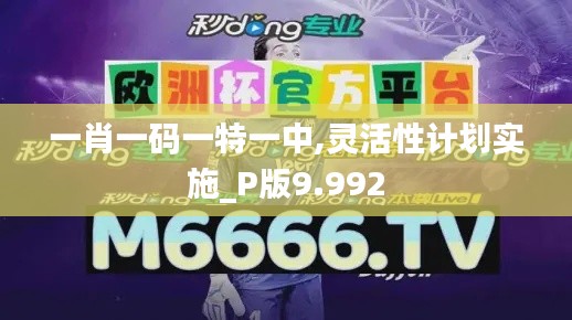 一肖一码一特一中,灵活性计划实施_P版9.992