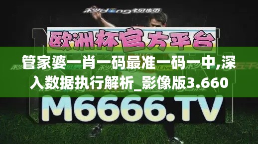 管家婆一肖一码最准一码一中,深入数据执行解析_影像版3.660