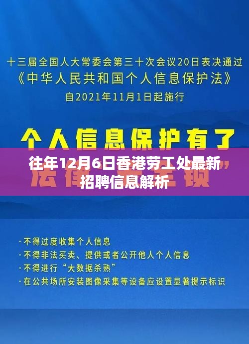 香港劳工处最新招聘信息解析，历年12月6日招聘趋势分析