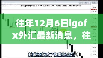 往年12月6日IGOFX外汇最新消息深度解析，洞悉全球金融市场动态（小红书版）