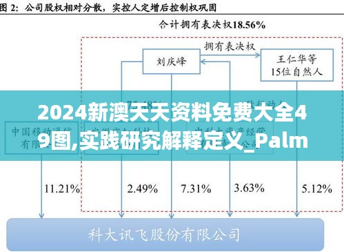 2024新澳天天资料免费大全49图,实践研究解释定义_PalmOS13.191