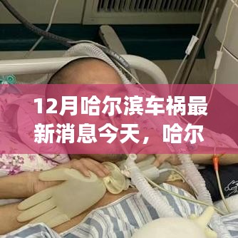 哈尔滨车祸背后的故事与隐秘小巷美食奇遇，今日最新消息揭秘特色小店的独特魅力