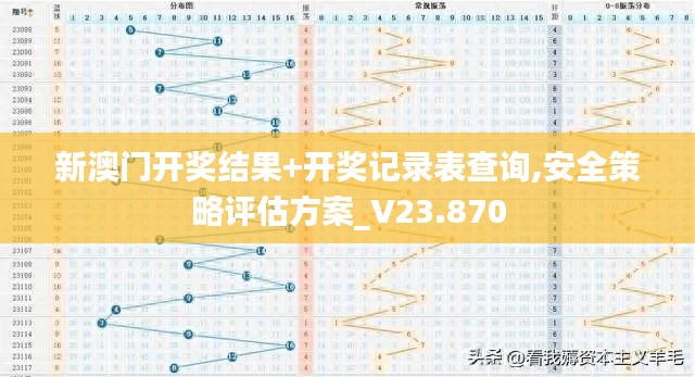 新澳门开奖结果+开奖记录表查询,安全策略评估方案_V23.870