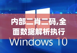 内部二肖二码,全面数据解析执行_Windows14.371