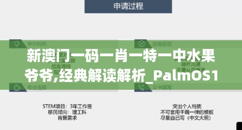 新澳门一码一肖一特一中水果爷爷,经典解读解析_PalmOS12.855