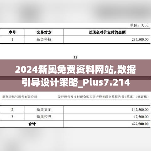 2024新奥免费资料网站,数据引导设计策略_Plus7.214