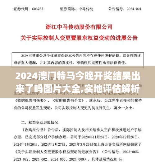 2024澳门特马今晚开奖结果出来了吗图片大全,实地评估解析说明_Advanced10.632