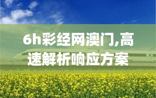 6h彩经网澳门,高速解析响应方案_XP12.387