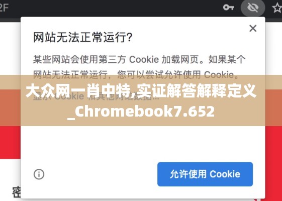 大众网一肖中特,实证解答解释定义_Chromebook7.652