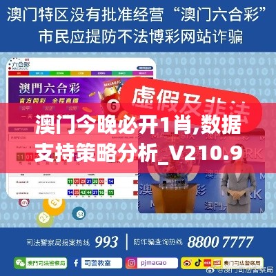 澳门今晚必开1肖,数据支持策略分析_V210.968