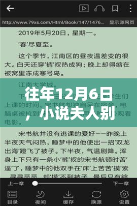 夫人别跑，揭秘小说热门更新日历年12月6日独家内幕