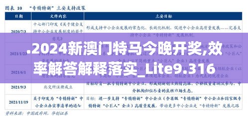 .2024新澳门特马今晚开奖,效率解答解释落实_Lite9.316