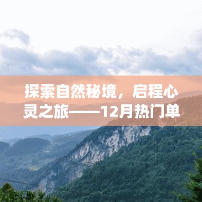 探索自然秘境的心灵之旅，单机游戏下载基地带你寻找内心的宁静