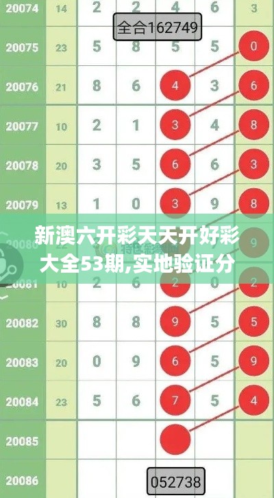 新澳六开彩天天开好彩大全53期,实地验证分析策略_特供版5.426