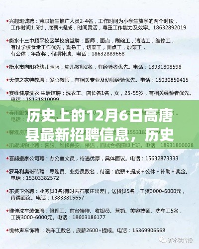 历史上的12月6日高唐县最新招聘信息深度解析与解读