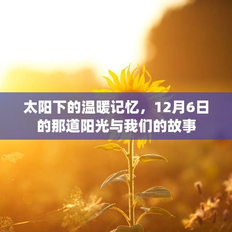 太阳下的温暖记忆，12月6日阳光下的故事