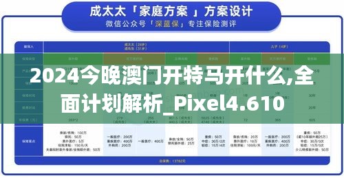 2024今晚澳门开特马开什么,全面计划解析_Pixel4.610