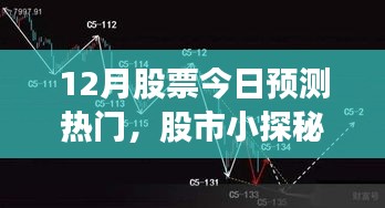 十二月股市热门预测，家的温馨与股市小探秘之旅