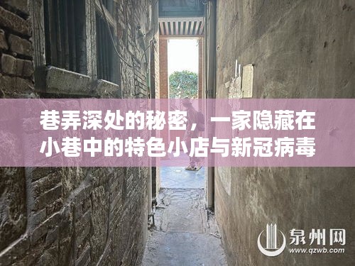 巷弄深处的秘密小店与新冠病毒最新动态