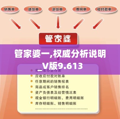 管家婆一,权威分析说明_V版9.613