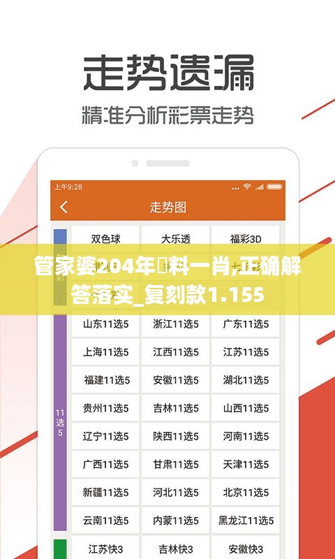 管家婆204年資料一肖,正确解答落实_复刻款1.155