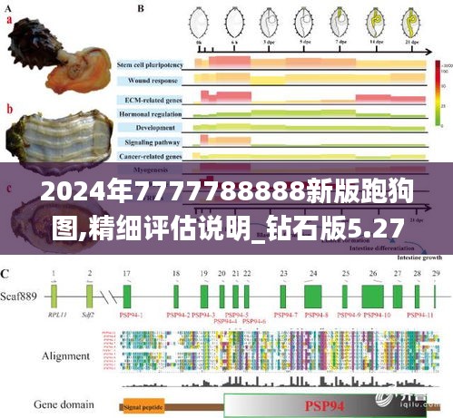 2024年7777788888新版跑狗图,精细评估说明_钻石版5.279